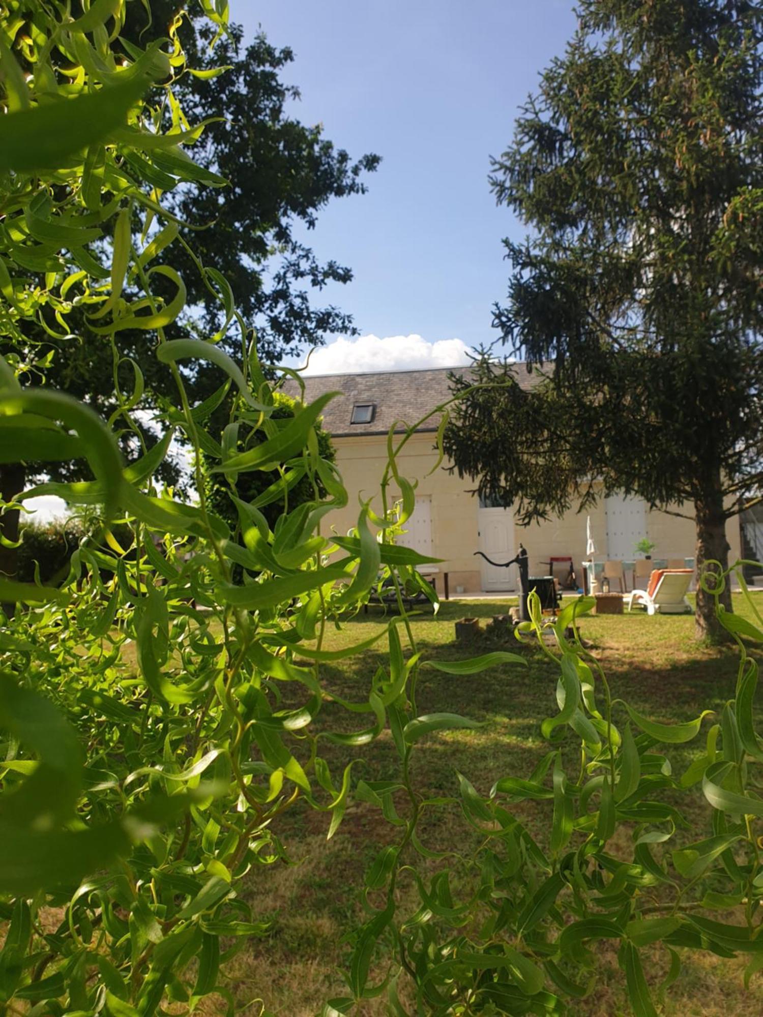 Gite Au Coeur De La Touraine La Chapelle-sur-Loire ภายนอก รูปภาพ