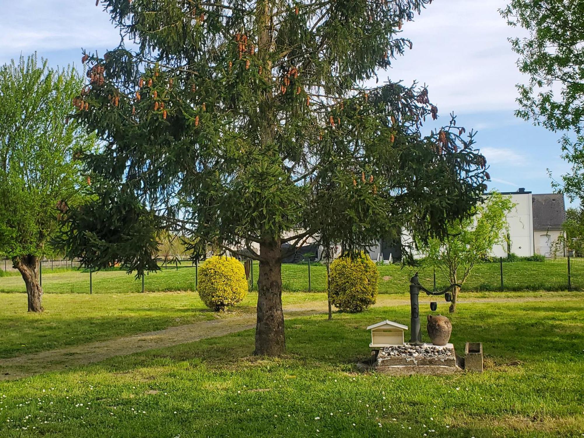 Gite Au Coeur De La Touraine La Chapelle-sur-Loire ภายนอก รูปภาพ